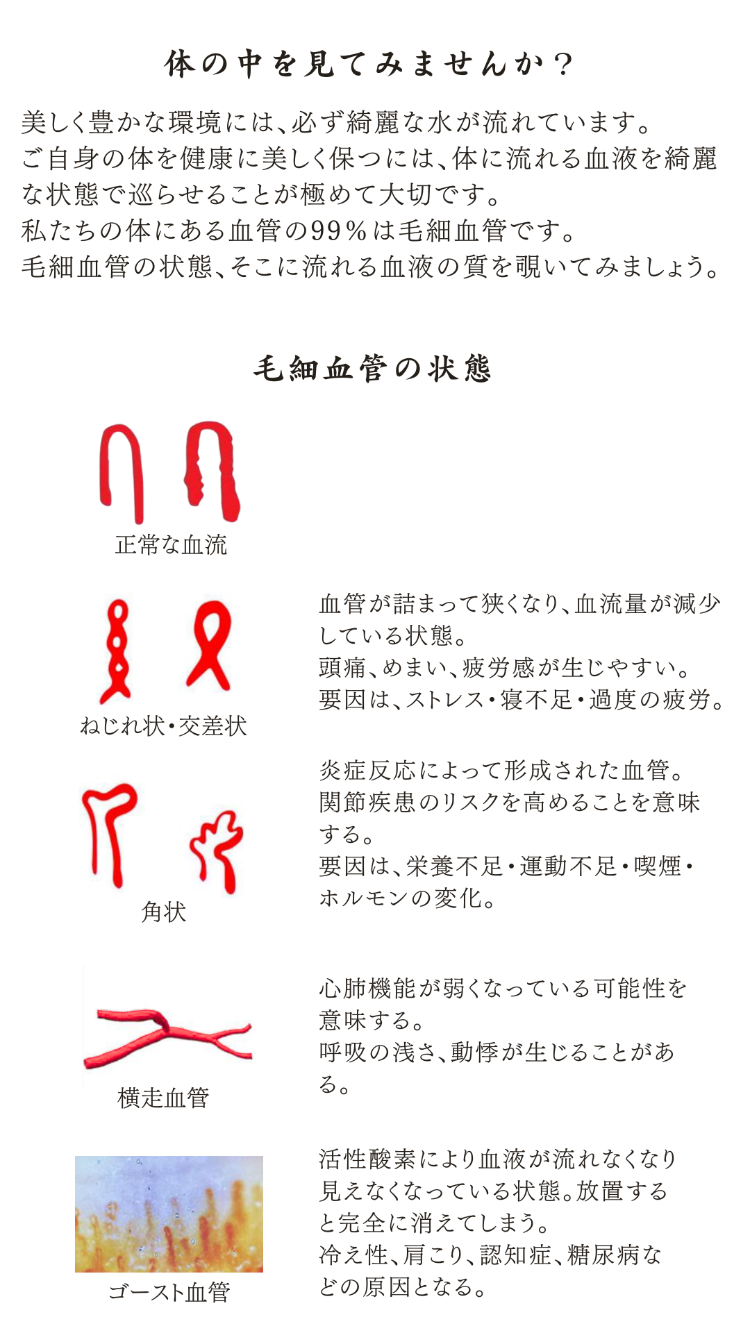 血液観察資料 1ページ：体の中を見てみませんか？ 毛細血管の状態