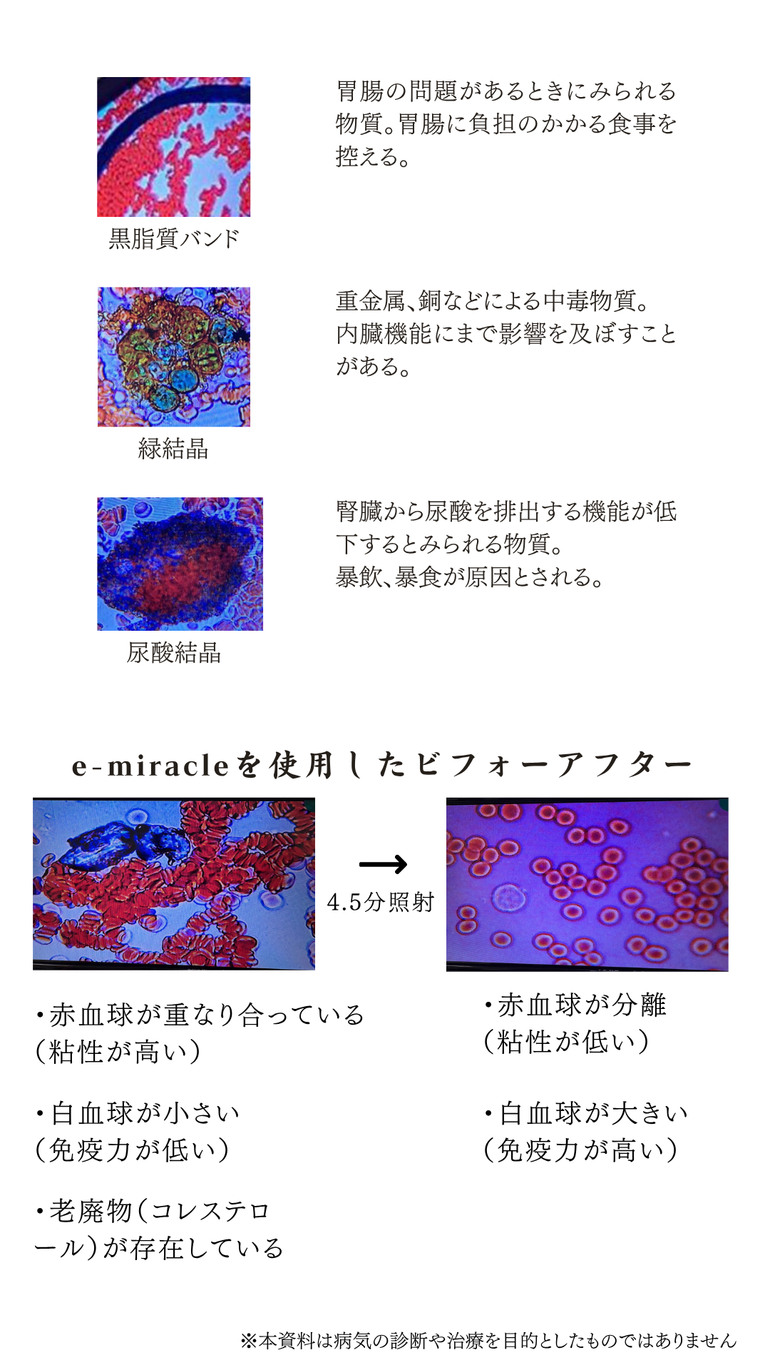 血液観察資料 4ページ：老廃物の続きとe-miracle使用前後の比較